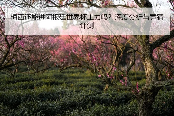 梅西还能进阿根廷世界杯主力吗？深度分析与竞猜评测